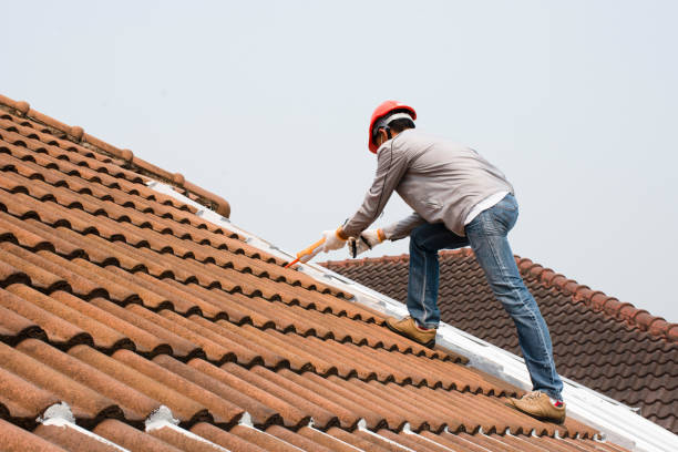 Professional Roofing and repair in Boulevard Park, WA